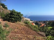 Terreno Rstico - Cmara de Lobos, Cmara de Lobos, Ilha da Madeira