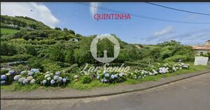 Quinta - Remdios da Bretanha, Ponta Delgada, Ilha de S.Miguel