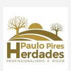 Logo do agente PAULO PIRES HERDADES UNIPESSOAL LDA - AMI 20464