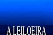 Logo do agente A Leiloeira Mediadora - Soc. Mediação Imobiliária, Lda - AMI 1564