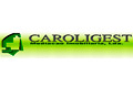 Logo do agente Caroligest - Mediao Imobiliria, Lda - AMI 8507