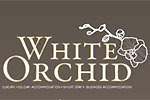 Logo do agente WHITE ORCHID - Med. Imobiliaria Unip. Lda - AMI 10282