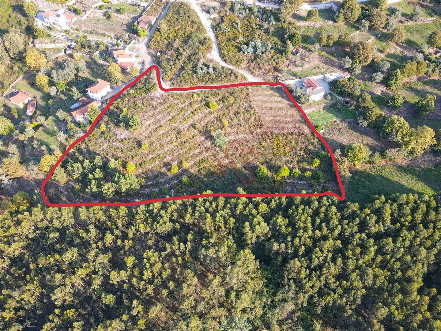 Terreno R�stico T0 - Travanca, Amarante, Porto - Imagem grande