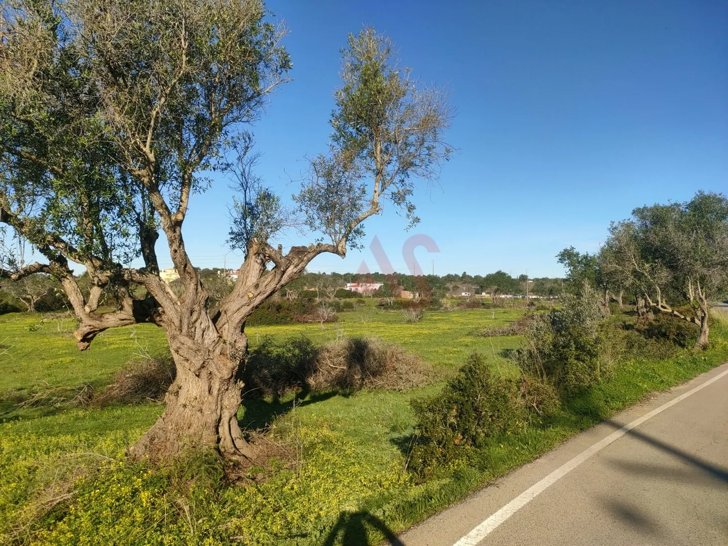Terreno Rstico T0 - Olhos de gua, Albufeira, Faro (Algarve)