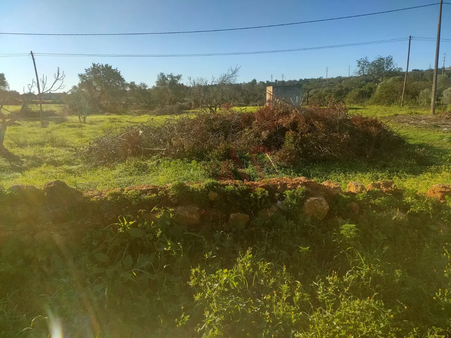 Terreno Rstico T0 - Olhos de gua, Albufeira, Faro (Algarve) - Miniatura: 6/9