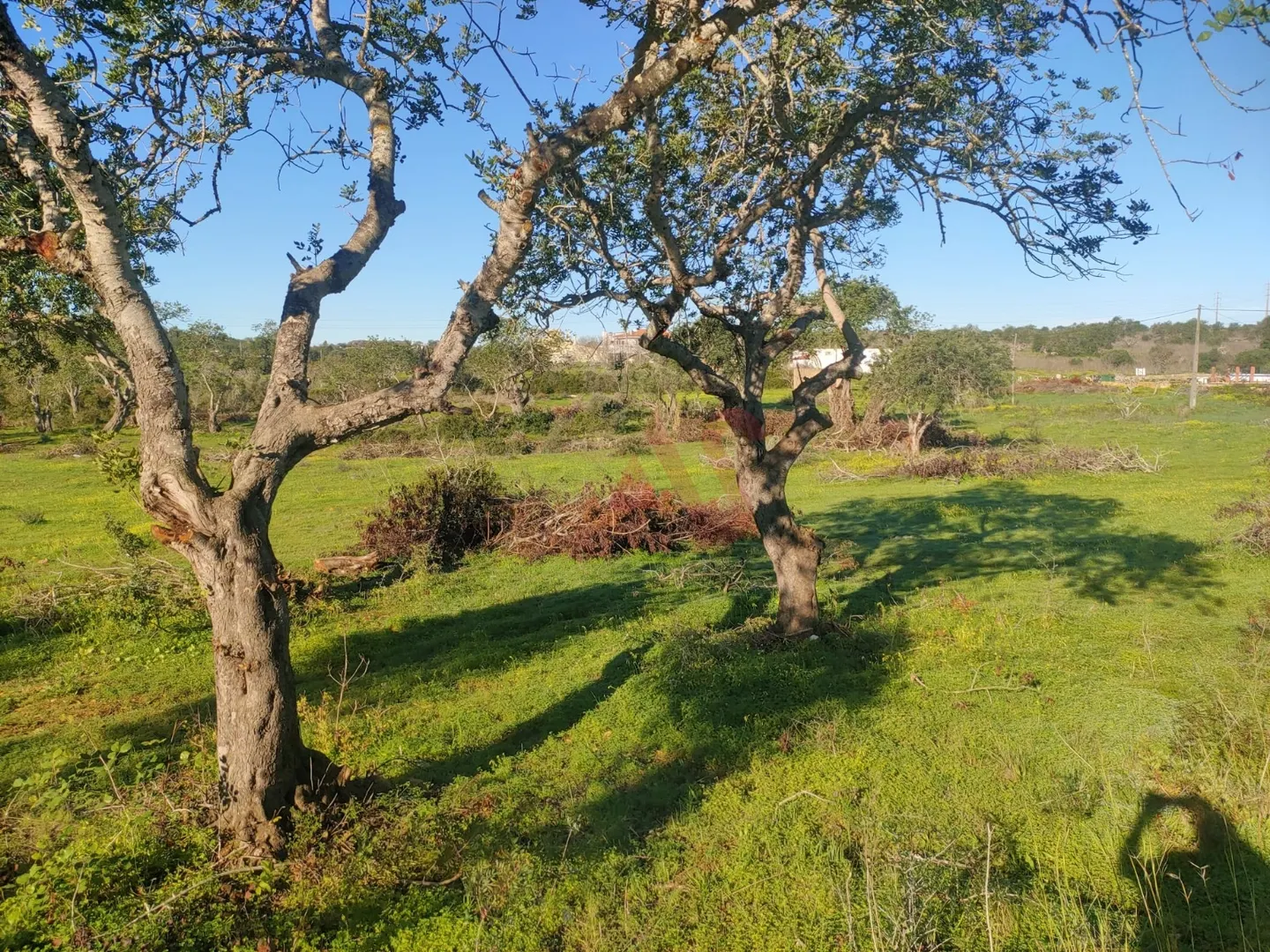 Terreno Rstico T0 - Olhos de gua, Albufeira, Faro (Algarve) - Miniatura: 7/9