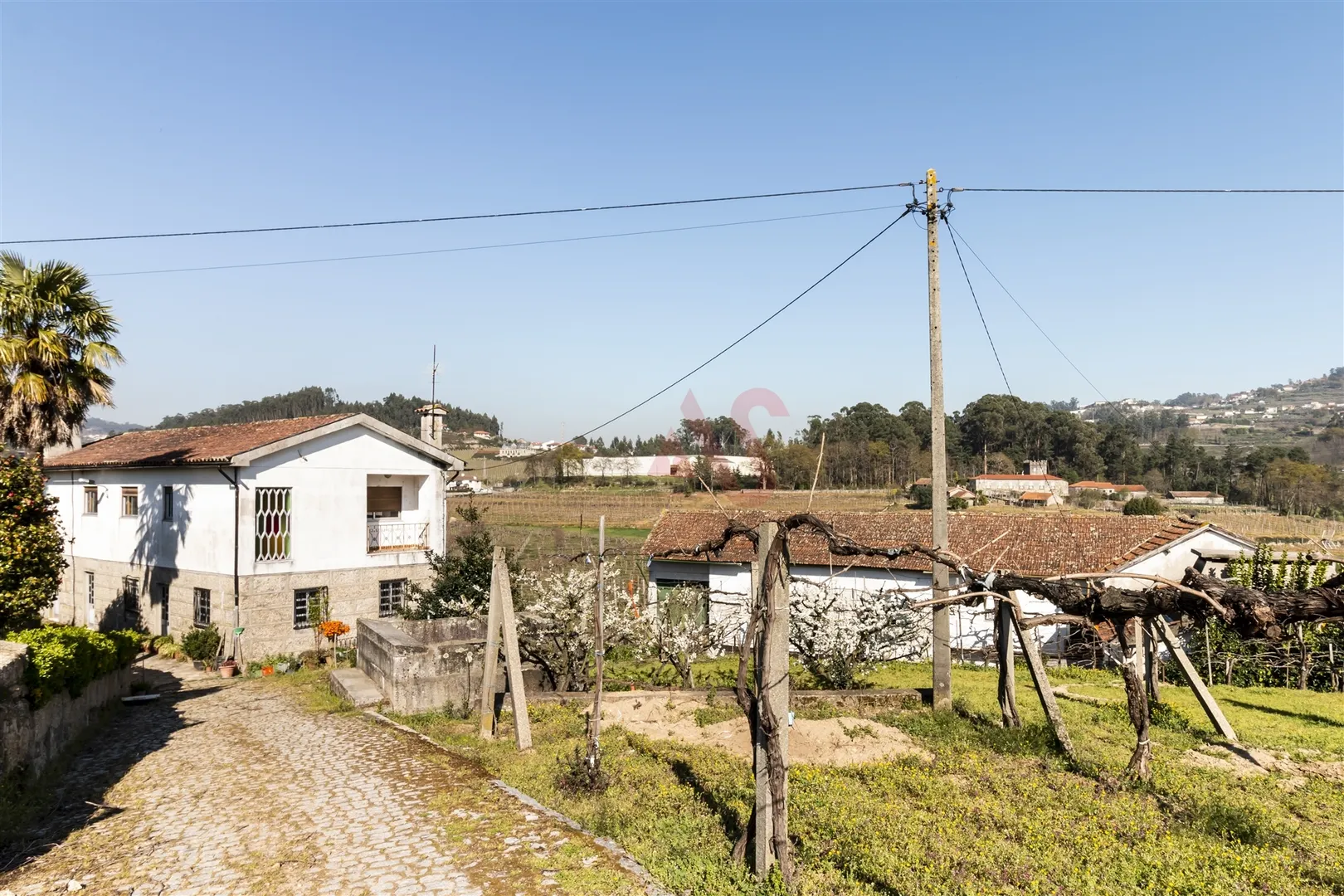 Quinta > T6 - Tagilde, Vizela, Braga - Miniatura: 1/9