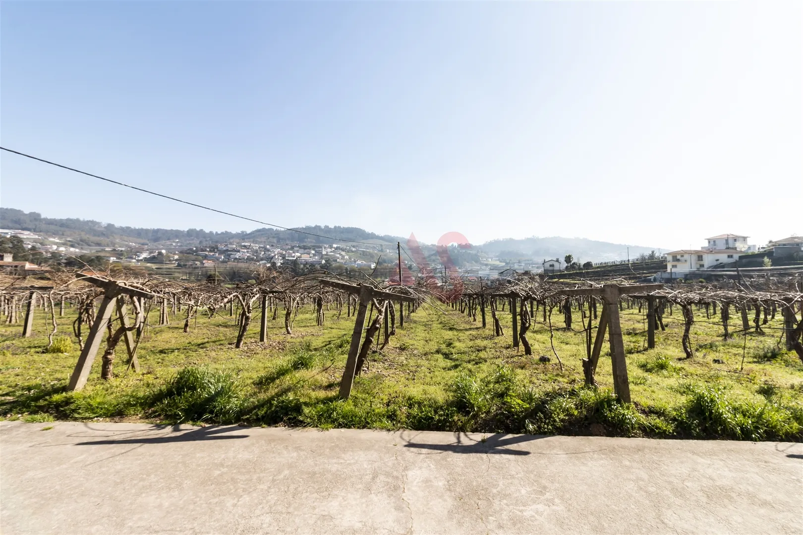 Quinta > T6 - Tagilde, Vizela, Braga - Miniatura: 5/9