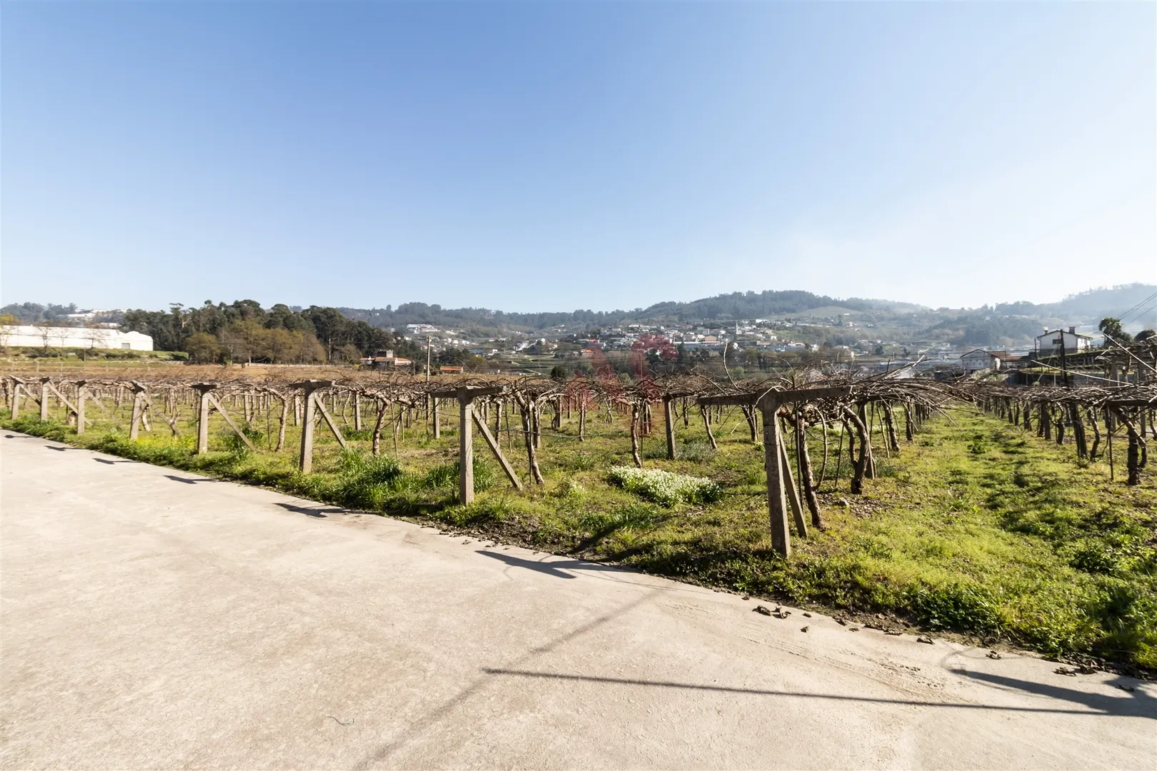 Quinta > T6 - Tagilde, Vizela, Braga - Miniatura: 7/9