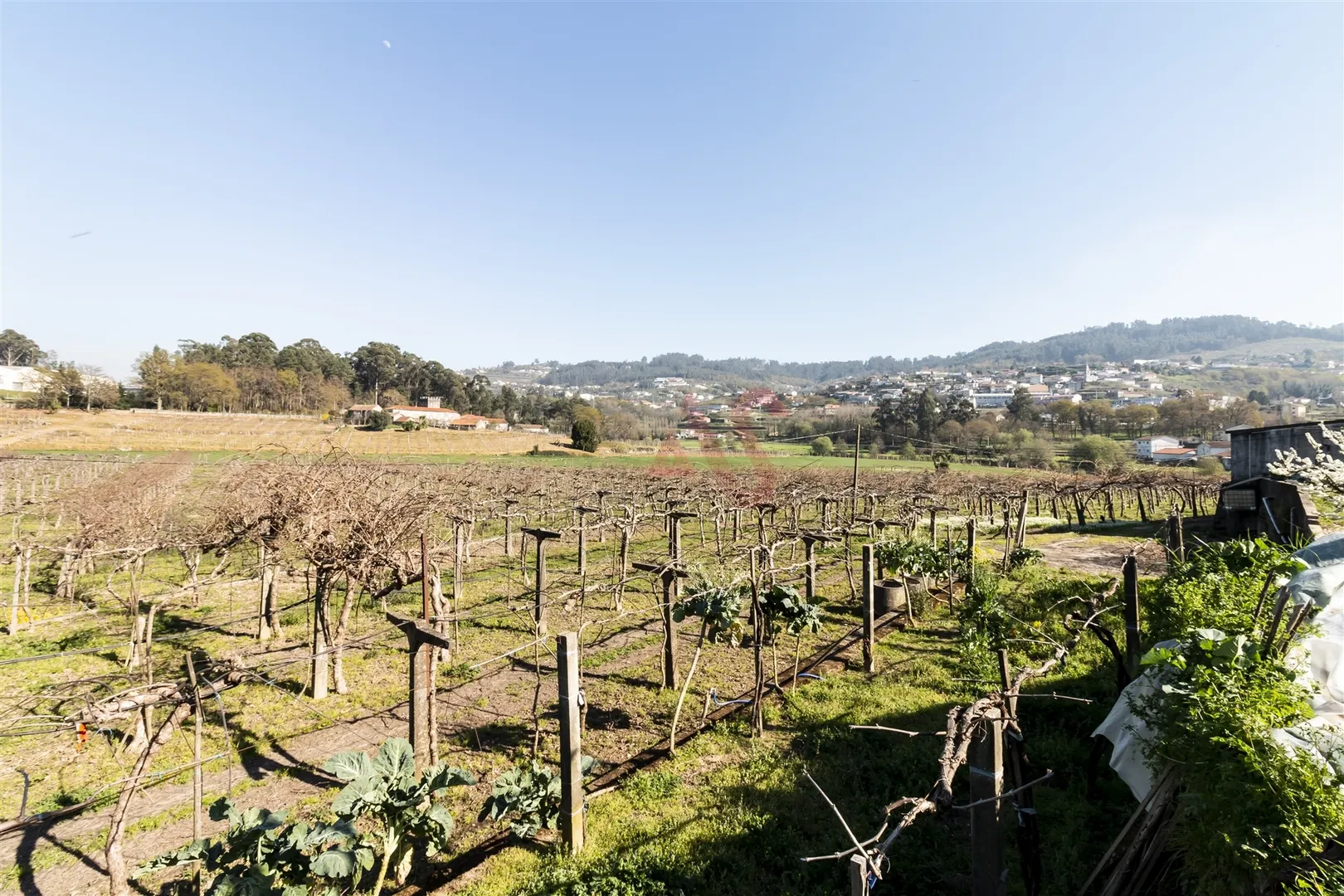 Quinta > T6 - Tagilde, Vizela, Braga - Miniatura: 8/9