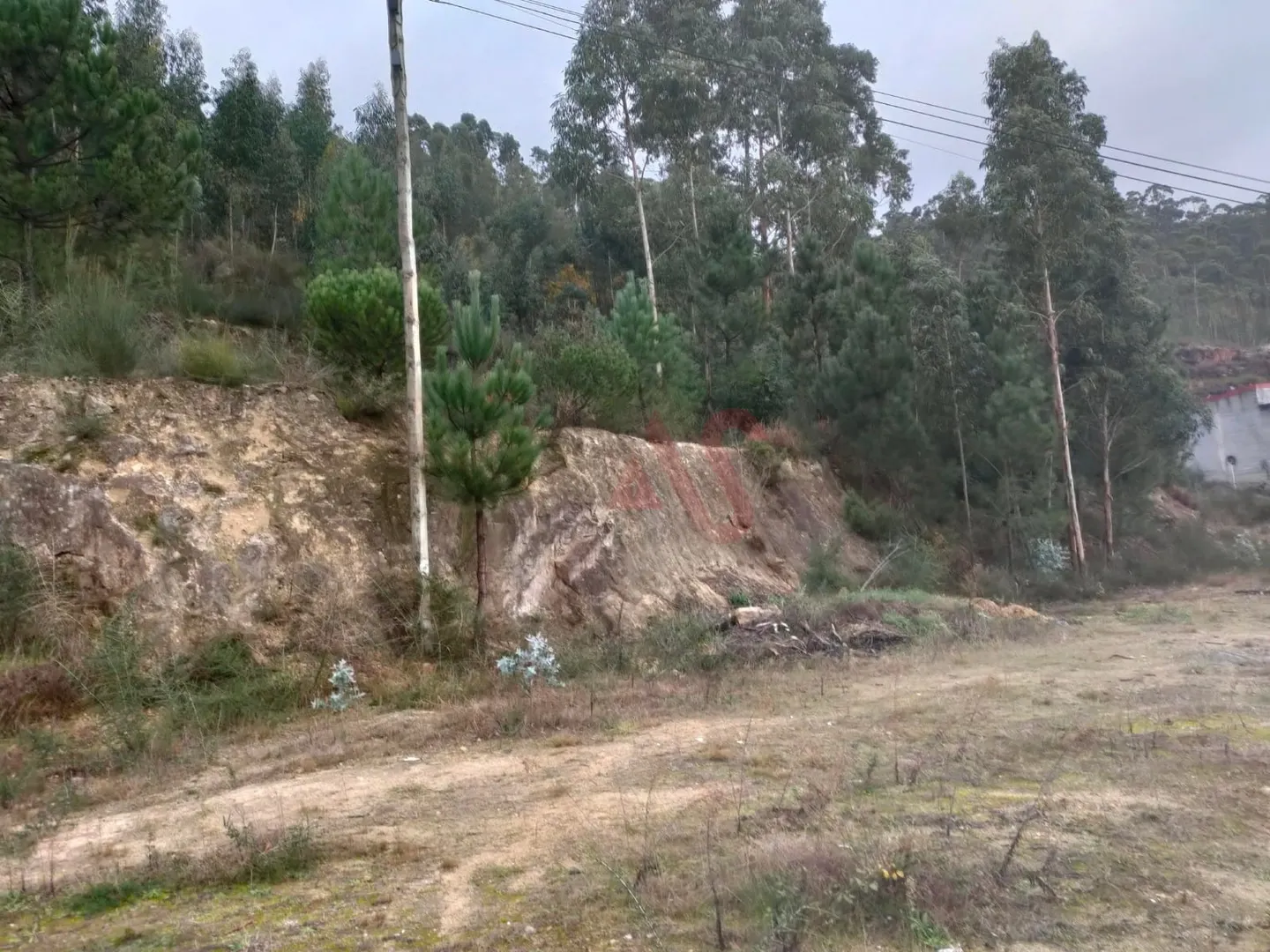 Terreno Rstico T0 - Santa Eullia, Vizela, Braga - Miniatura: 2/9