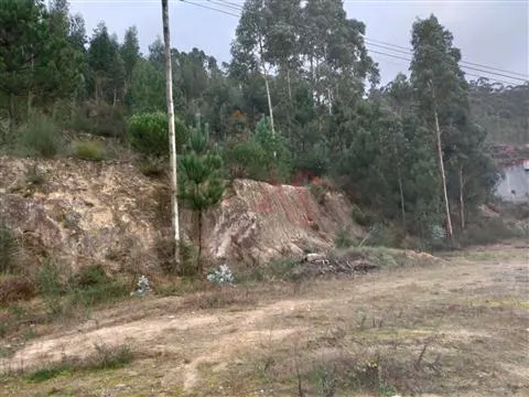 Terreno Rstico T0 - Santa Eullia, Vizela, Braga - Miniatura: 7/9