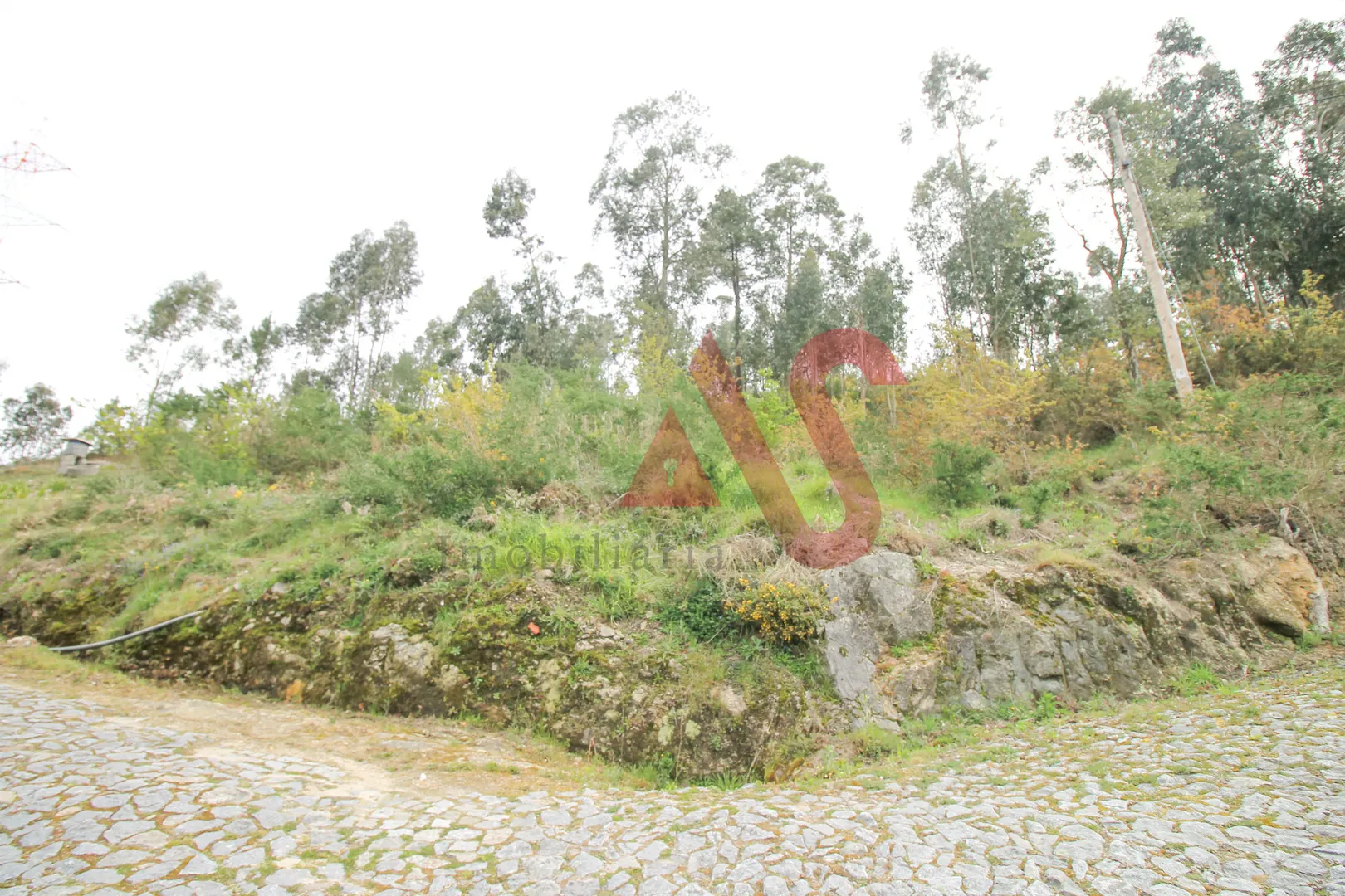 Terreno Rstico T0 - Santa Eullia, Vizela, Braga - Miniatura: 1/9