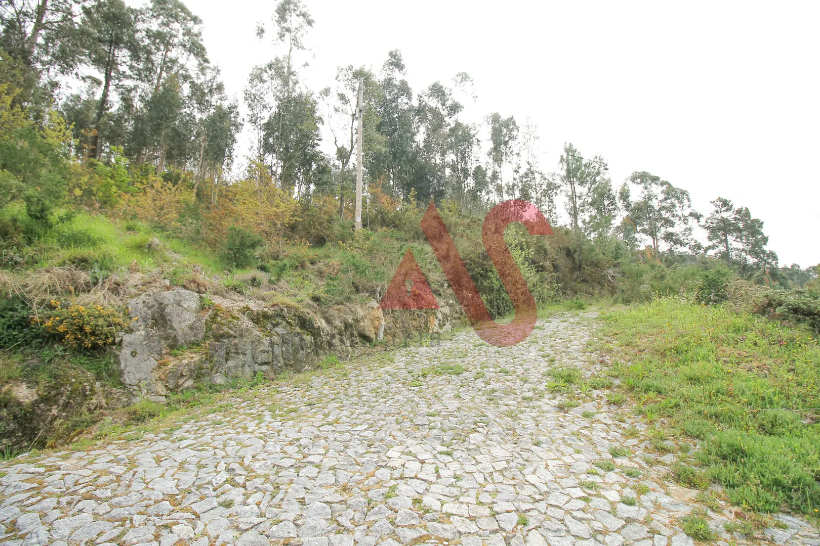 Terreno Rstico T0 - Santa Eullia, Vizela, Braga - Miniatura: 2/9