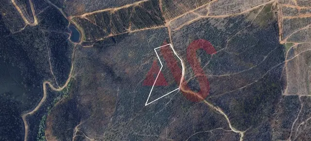 Terreno R�stico T0 - Silvares, Lousada, Porto - Imagem grande