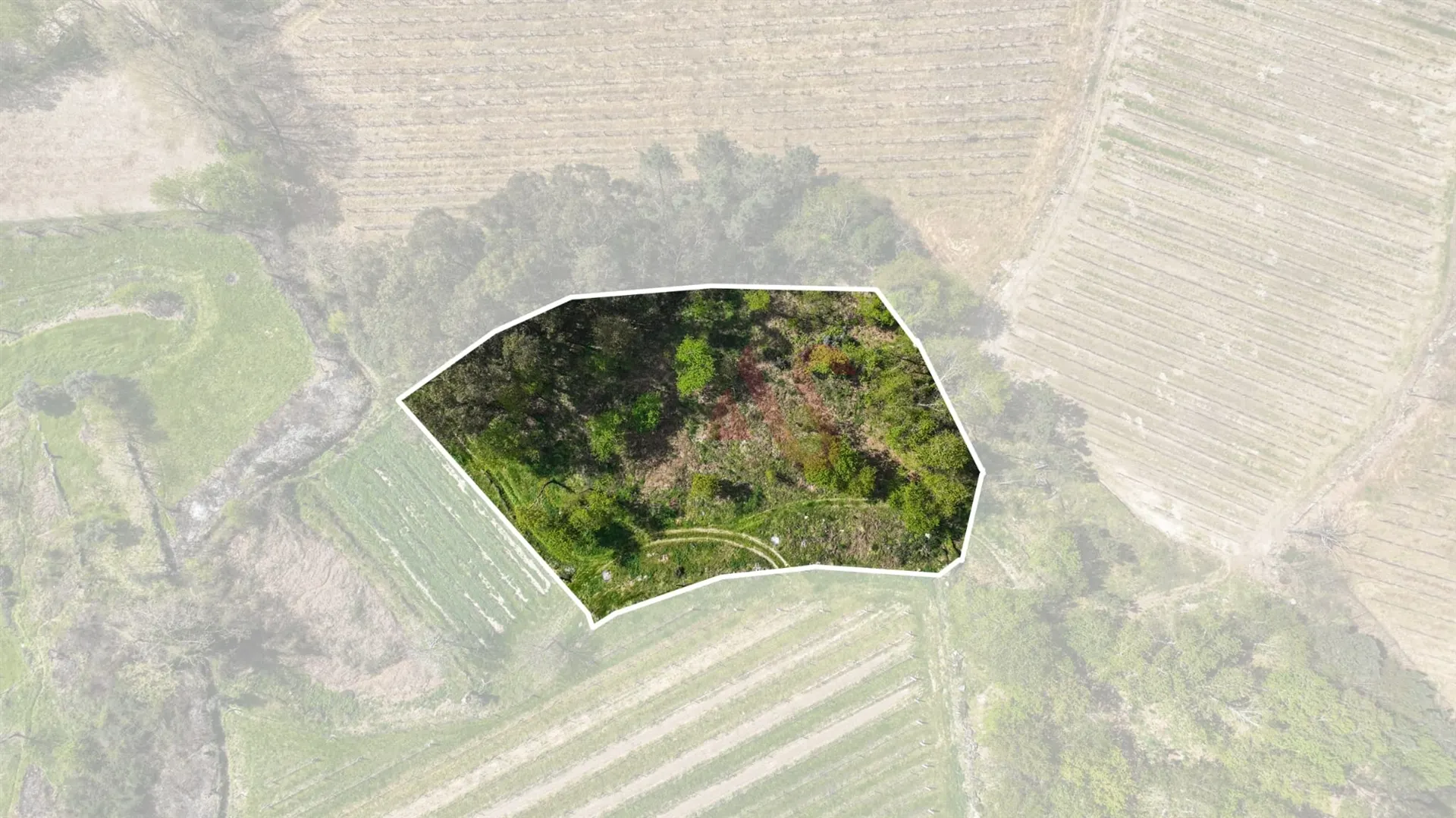 Terreno Rstico T0 - Pedreira, Felgueiras, Porto