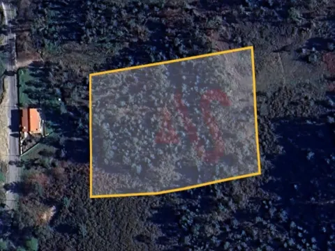 Terreno Rstico T0 - Lustosa, Lousada, Porto - Miniatura: 6/9
