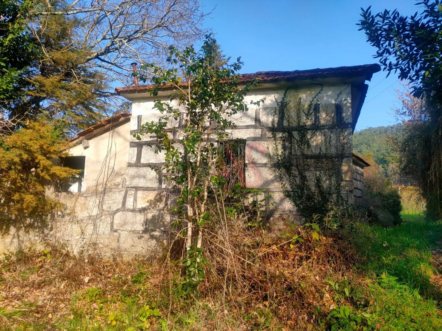 Quinta T4 - SILVARES, Fafe, Braga - Miniatura: 1/9