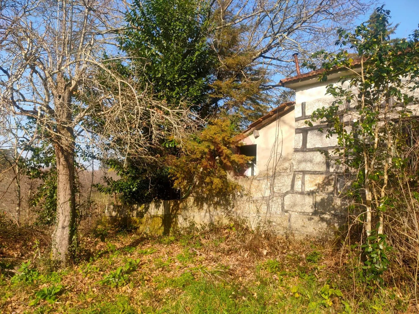 Quinta T4 - SILVARES, Fafe, Braga - Miniatura: 3/9