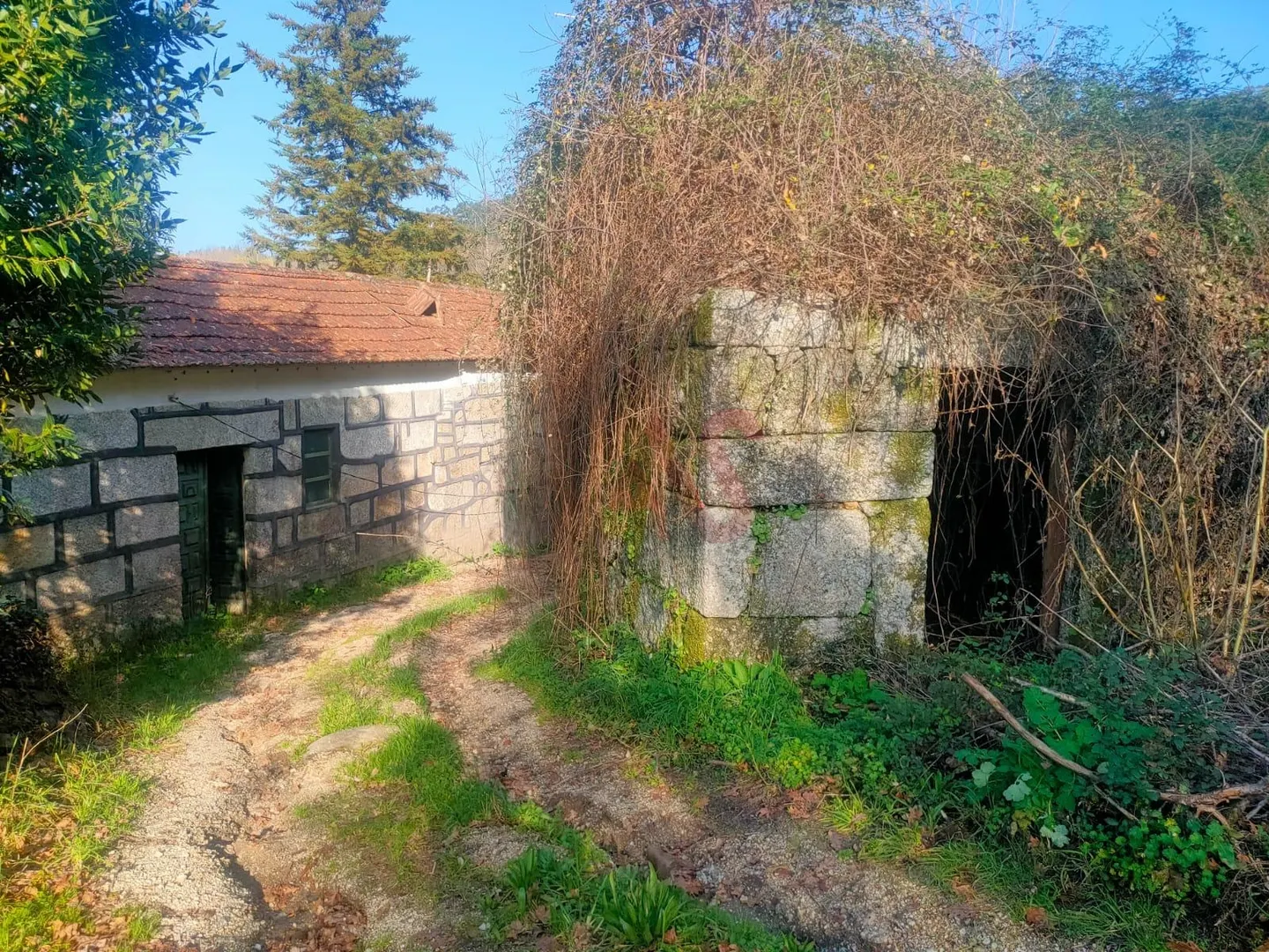 Quinta T4 - SILVARES, Fafe, Braga - Miniatura: 4/9