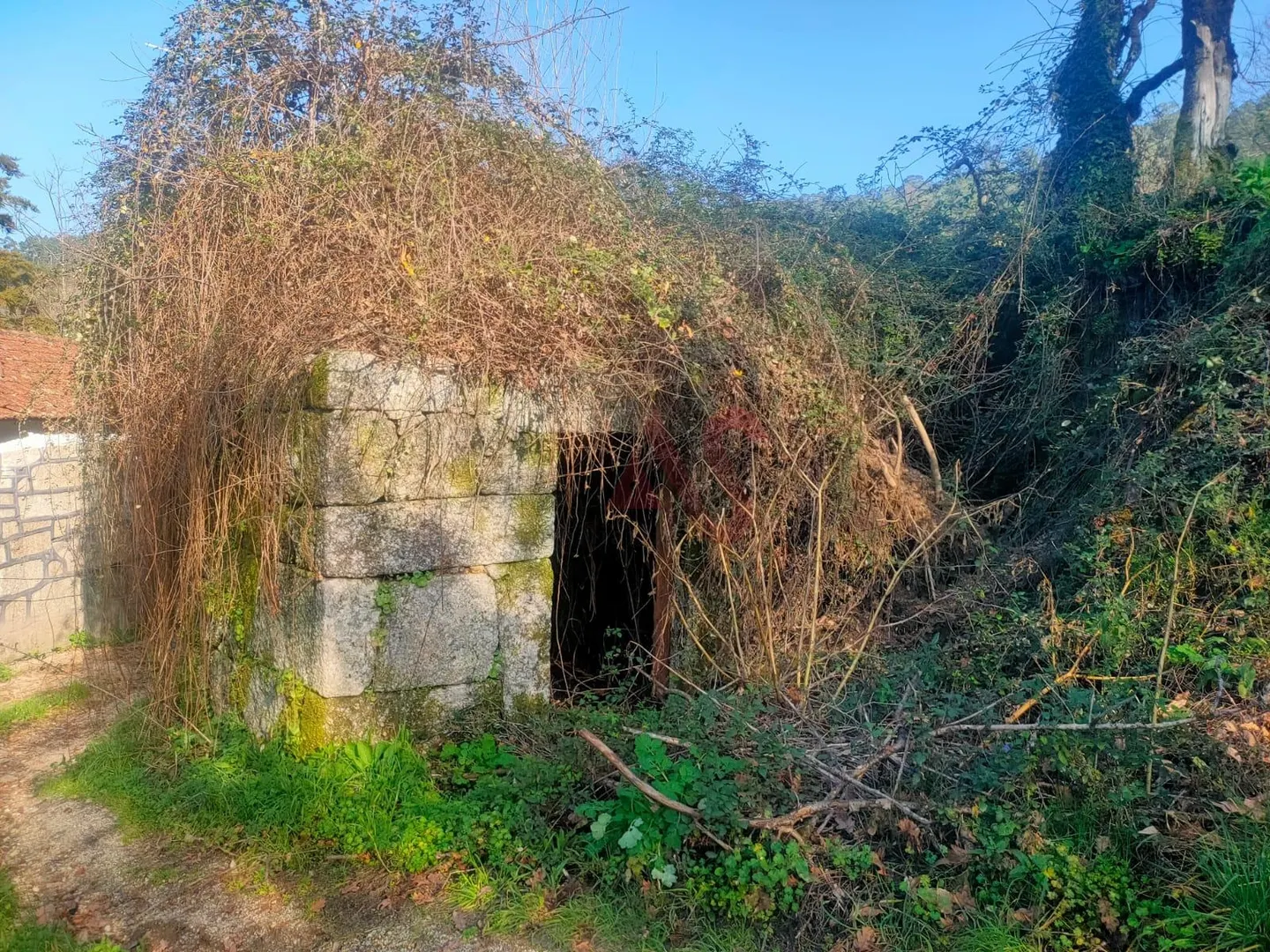 Quinta T4 - SILVARES, Fafe, Braga - Miniatura: 6/9