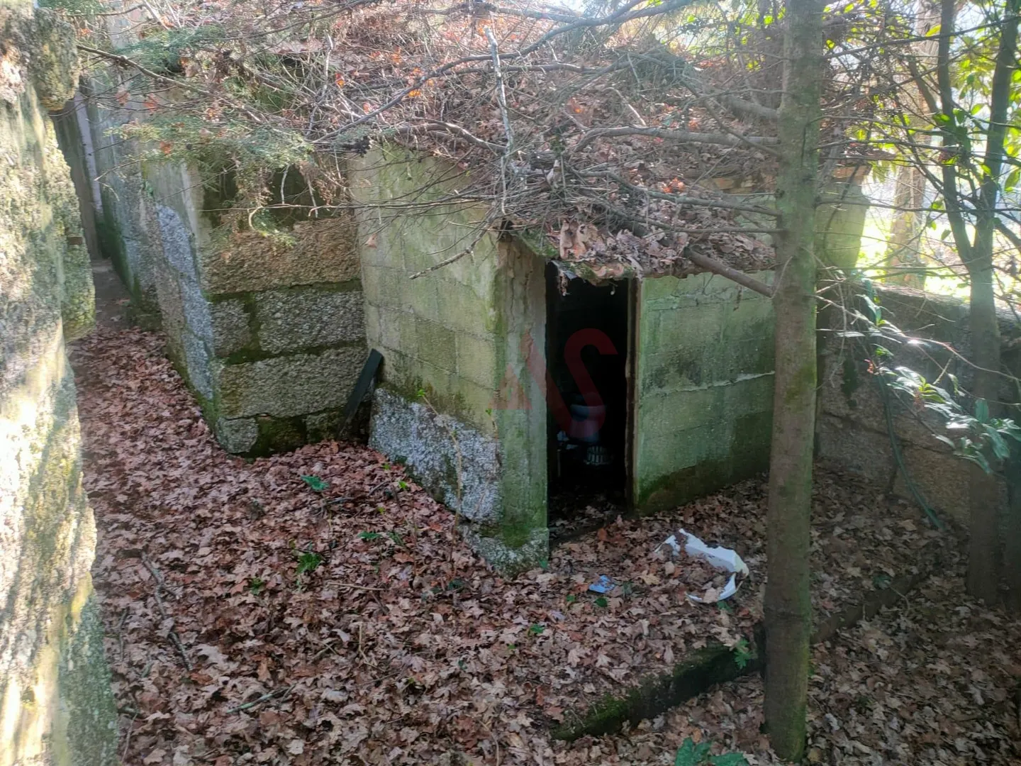 Quinta T4 - SILVARES, Fafe, Braga - Miniatura: 7/9
