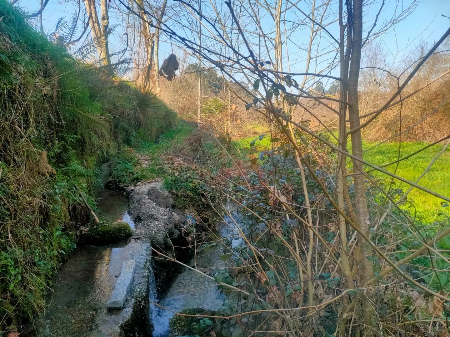 Quinta T4 - SILVARES, Fafe, Braga - Miniatura: 8/9