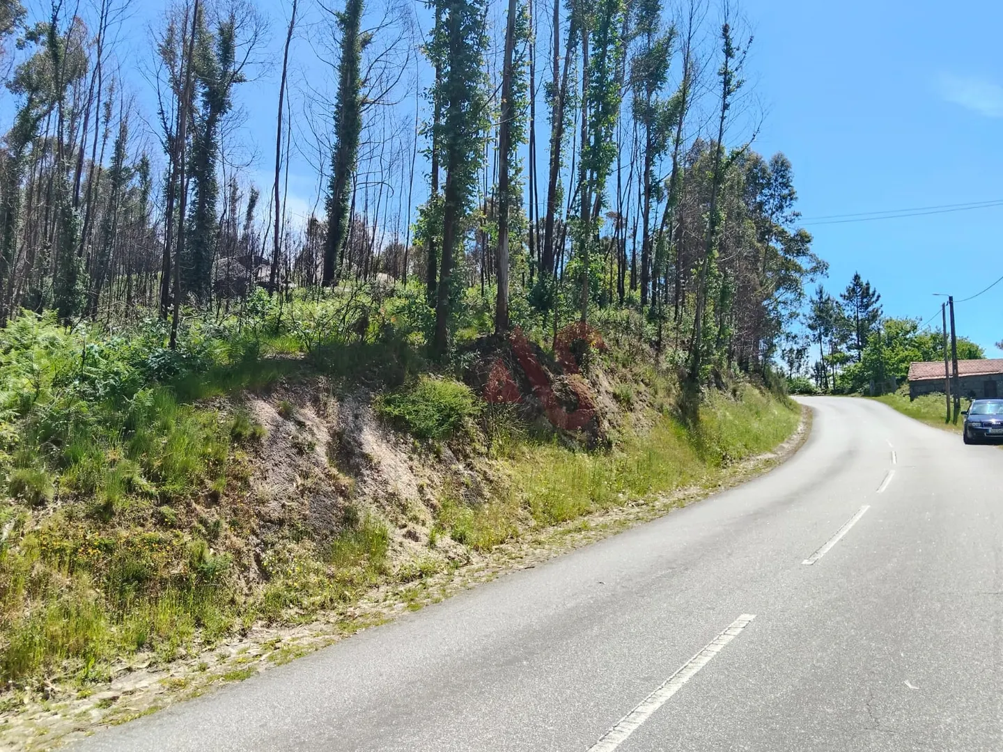 Terreno Rstico T0 - Ardego, Fafe, Braga - Miniatura: 2/9