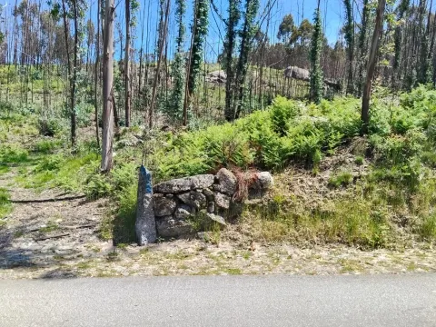 Terreno Rstico T0 - Ardego, Fafe, Braga - Miniatura: 4/9