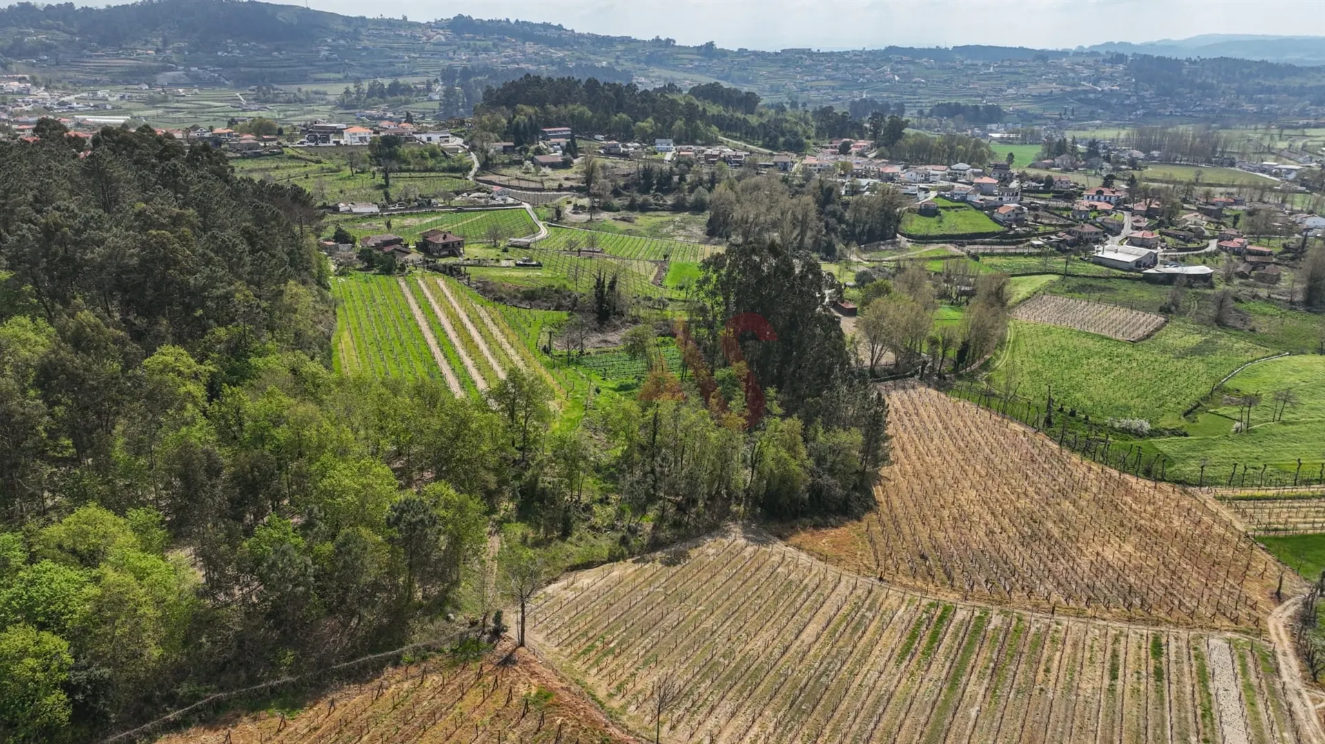 Terreno Rstico T0 - Pedreira, Felgueiras, Porto - Miniatura: 1/9