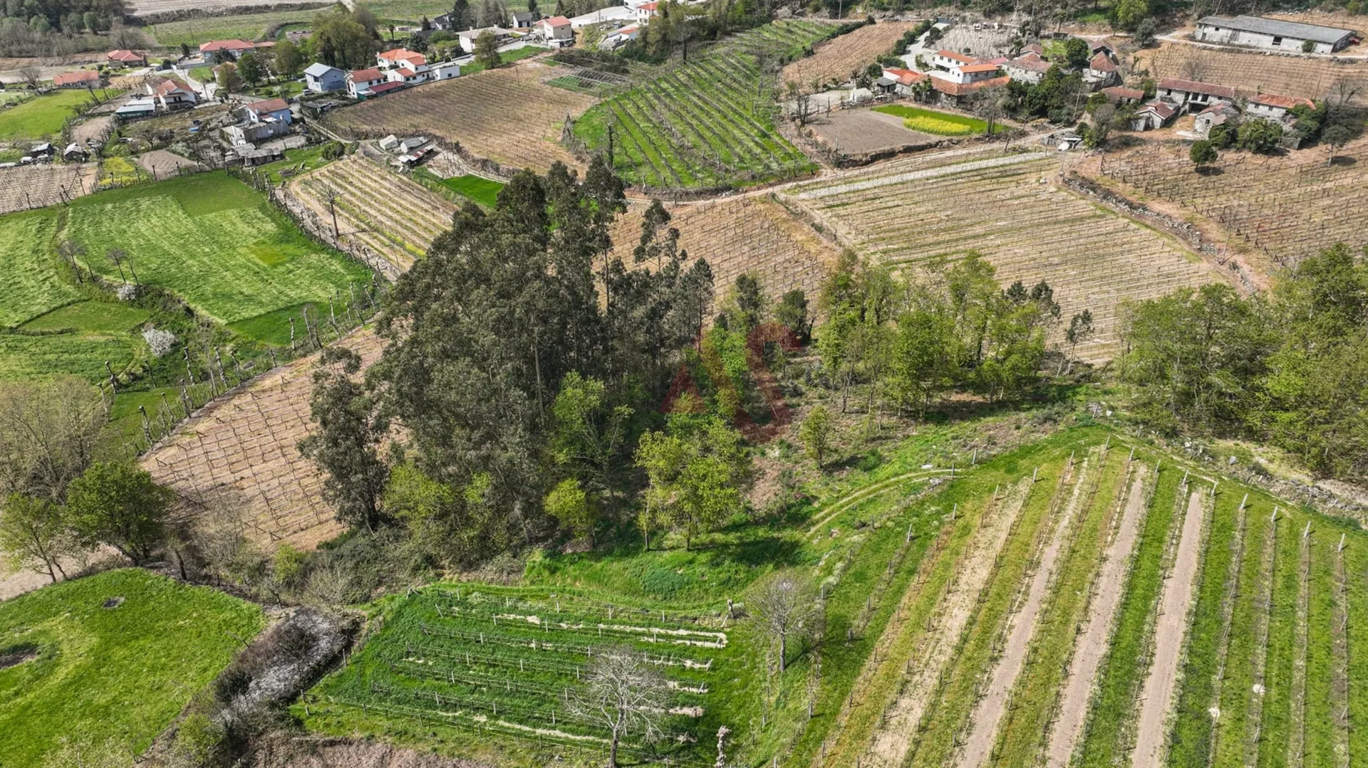Terreno Rstico T0 - Pedreira, Felgueiras, Porto - Miniatura: 2/9