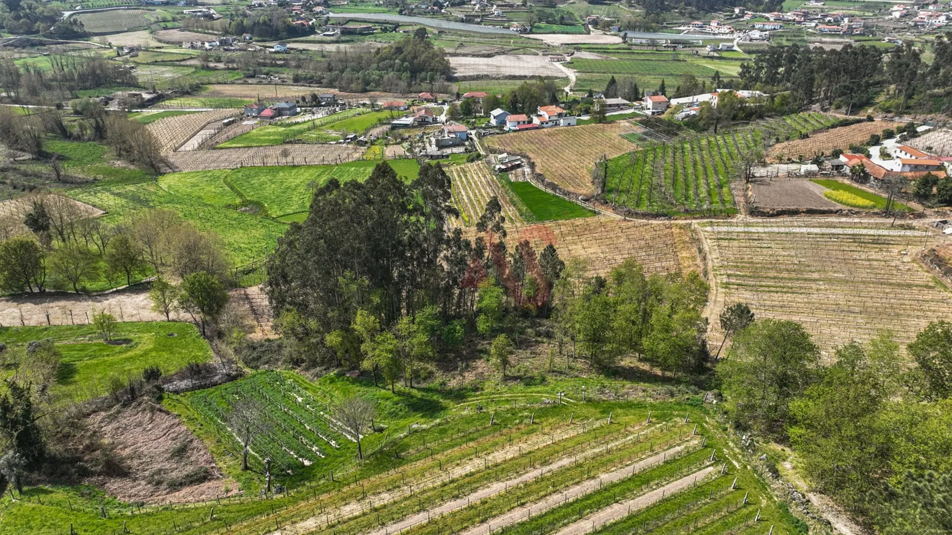 Terreno Rstico T0 - Pedreira, Felgueiras, Porto - Miniatura: 3/9