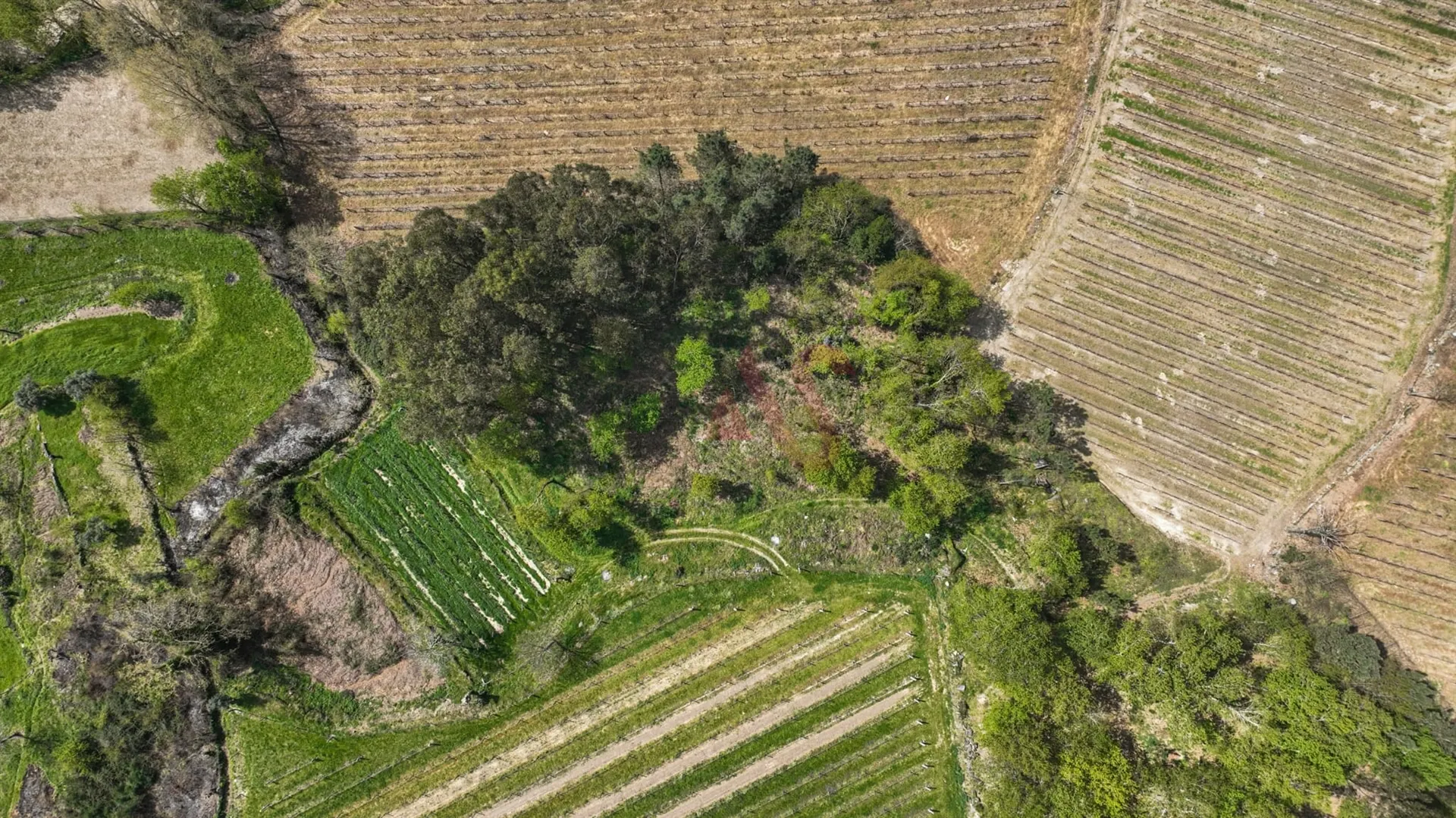 Terreno Rstico T0 - Pedreira, Felgueiras, Porto - Miniatura: 4/9