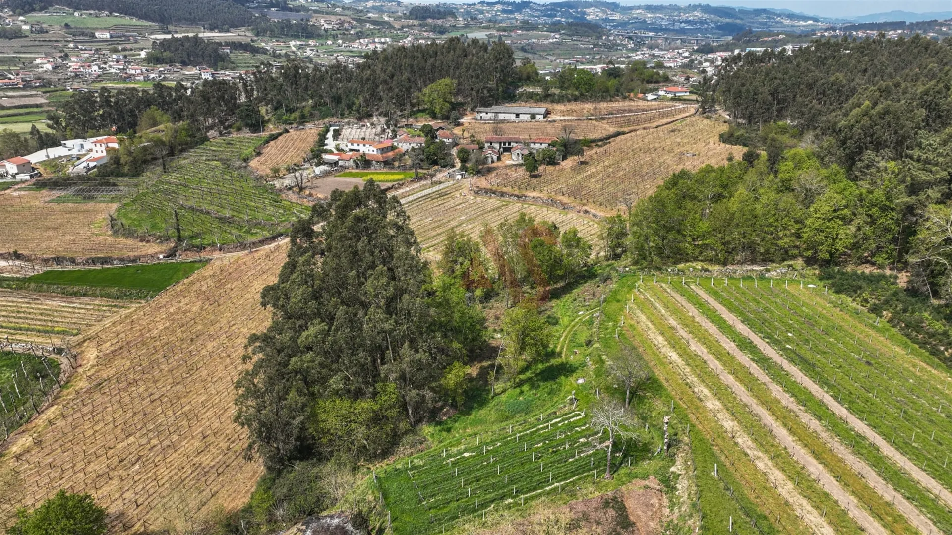 Terreno Rstico T0 - Pedreira, Felgueiras, Porto - Miniatura: 5/9