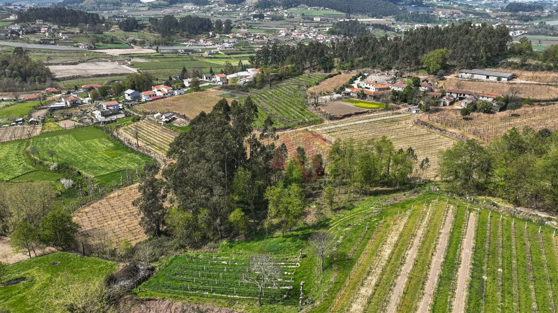 Terreno Rstico T0 - Pedreira, Felgueiras, Porto - Miniatura: 6/9