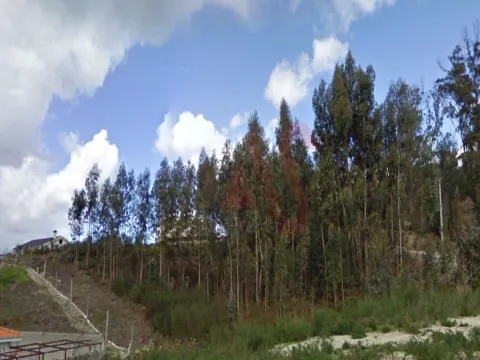 Terreno Urbano T0 - Silvares, Lousada, Porto - Miniatura: 5/9