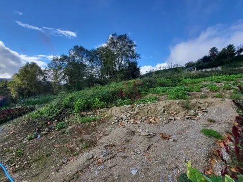 Terreno Urbano T0 - Margaride, Felgueiras, Porto - Miniatura: 9/9