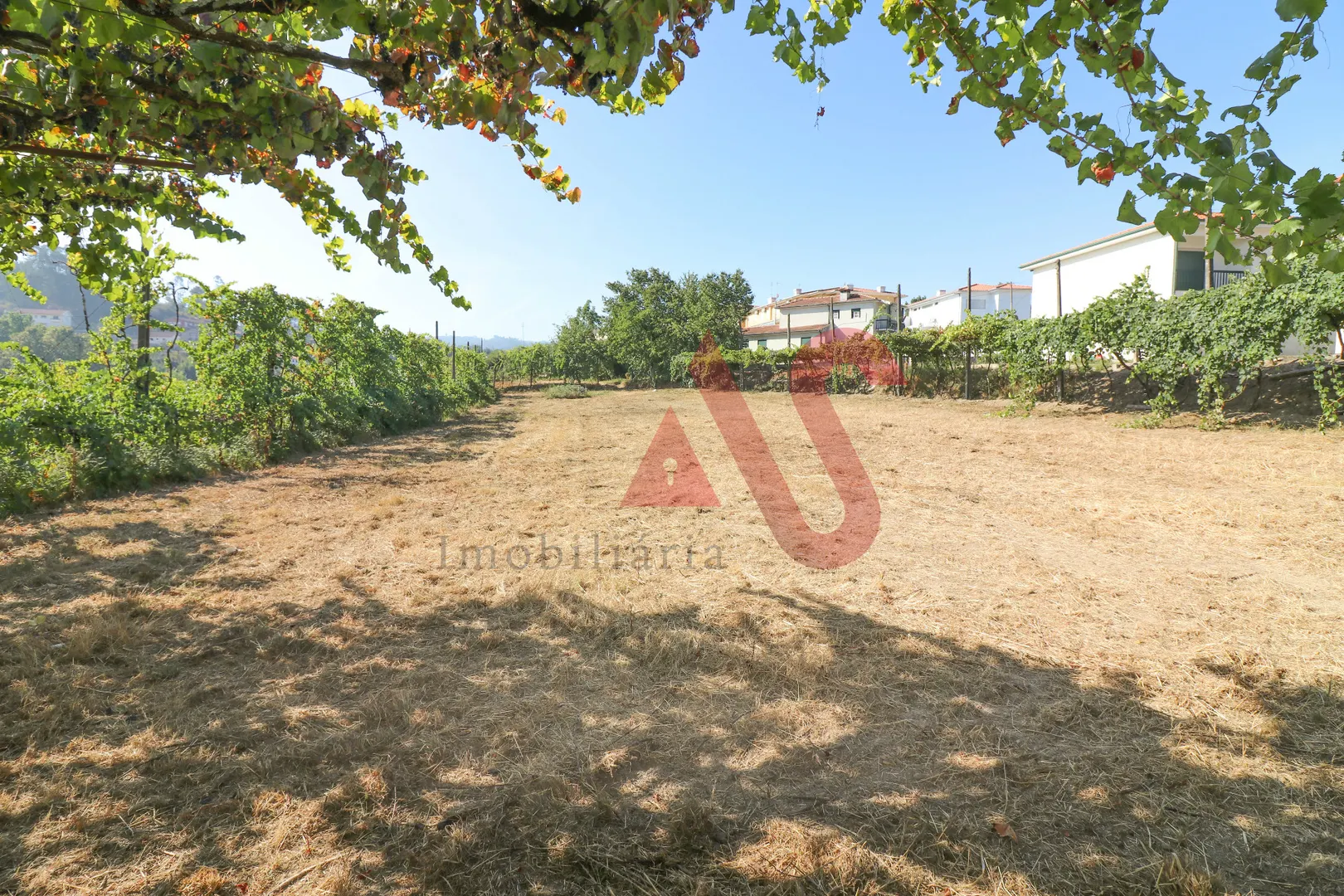 Terreno Rstico T0 - Vizela (Santo Adrio), Vizela, Braga - Miniatura: 4/9