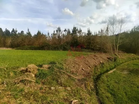 Terreno Rstico T0 - Ardego, Fafe, Braga - Miniatura: 2/9