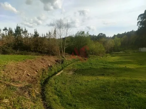 Terreno Rstico T0 - Ardego, Fafe, Braga - Miniatura: 3/9