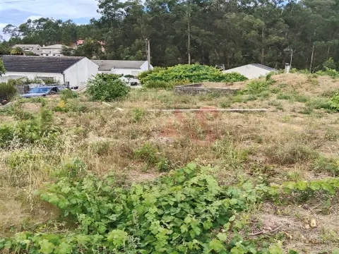 Terreno Rstico T0 - Ardego, Fafe, Braga - Miniatura: 7/9