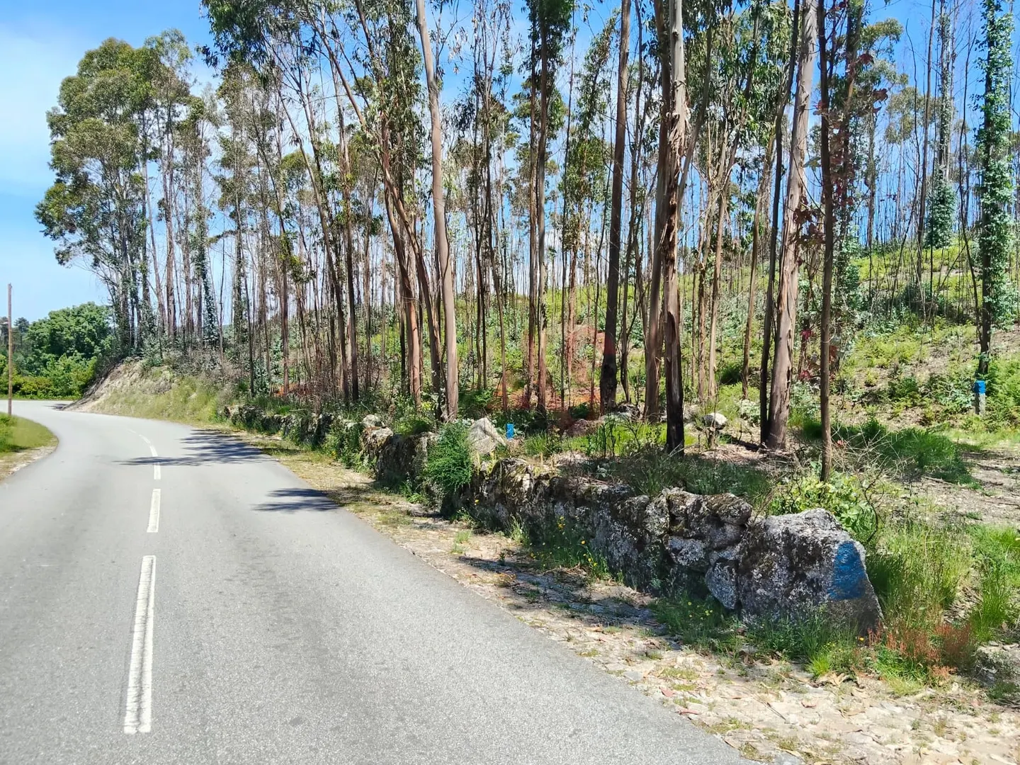 Terreno Rústico T0 - Ardegão, Fafe, Braga