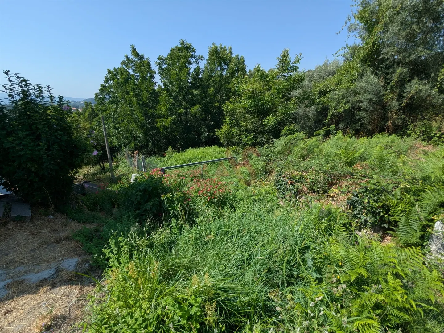 Terreno Rstico T0 - Travasss, Fafe, Braga