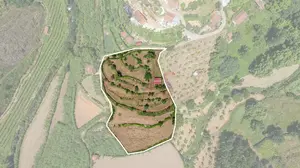 Terreno Urbano T0 - Ferven�a, Celorico de Basto, Braga