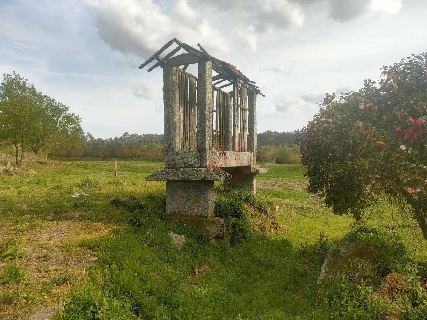 Quinta T4 - Ardego, Fafe, Braga - Miniatura: 4/9