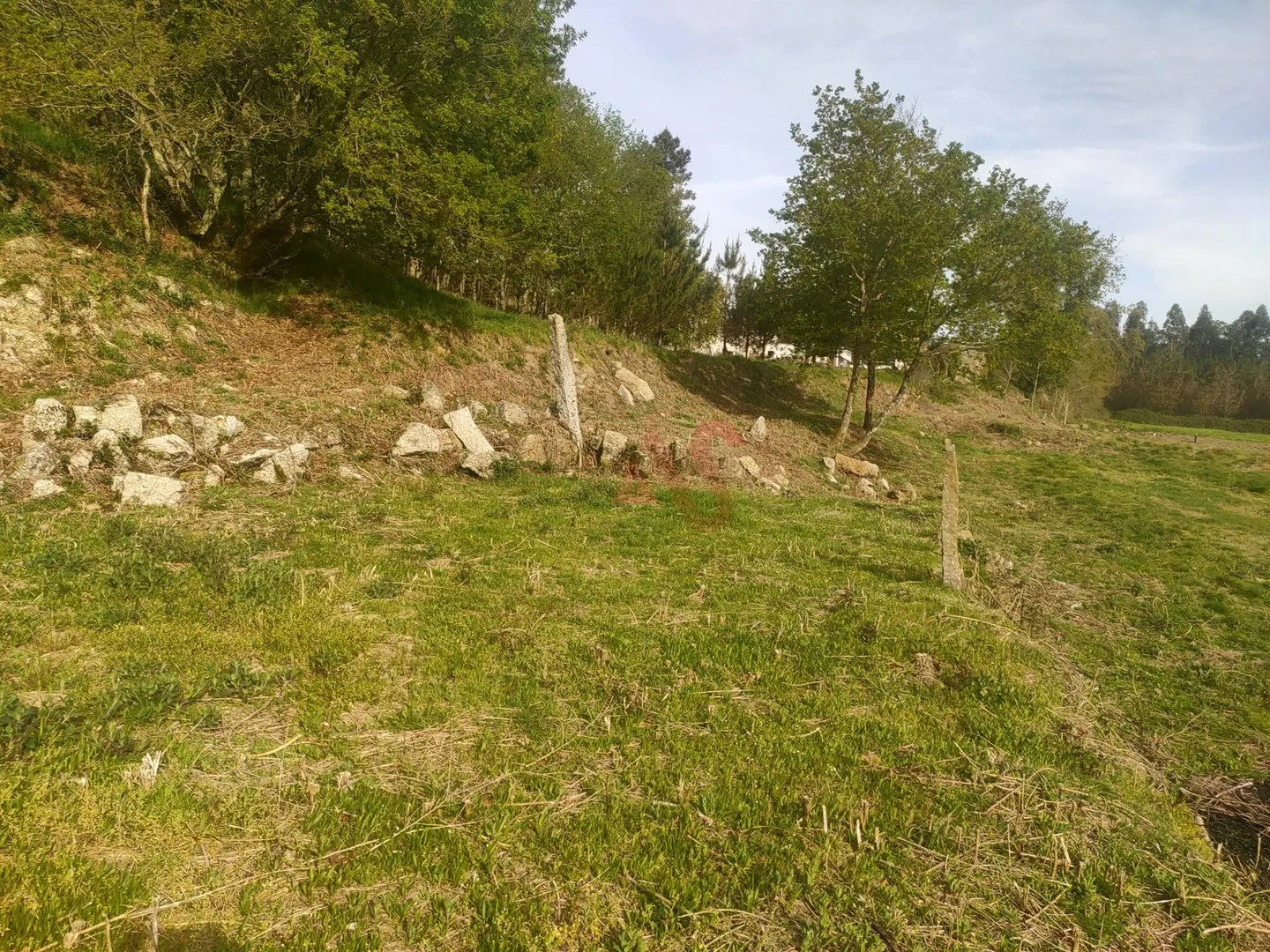 Quinta T4 - Ardego, Fafe, Braga - Miniatura: 6/9