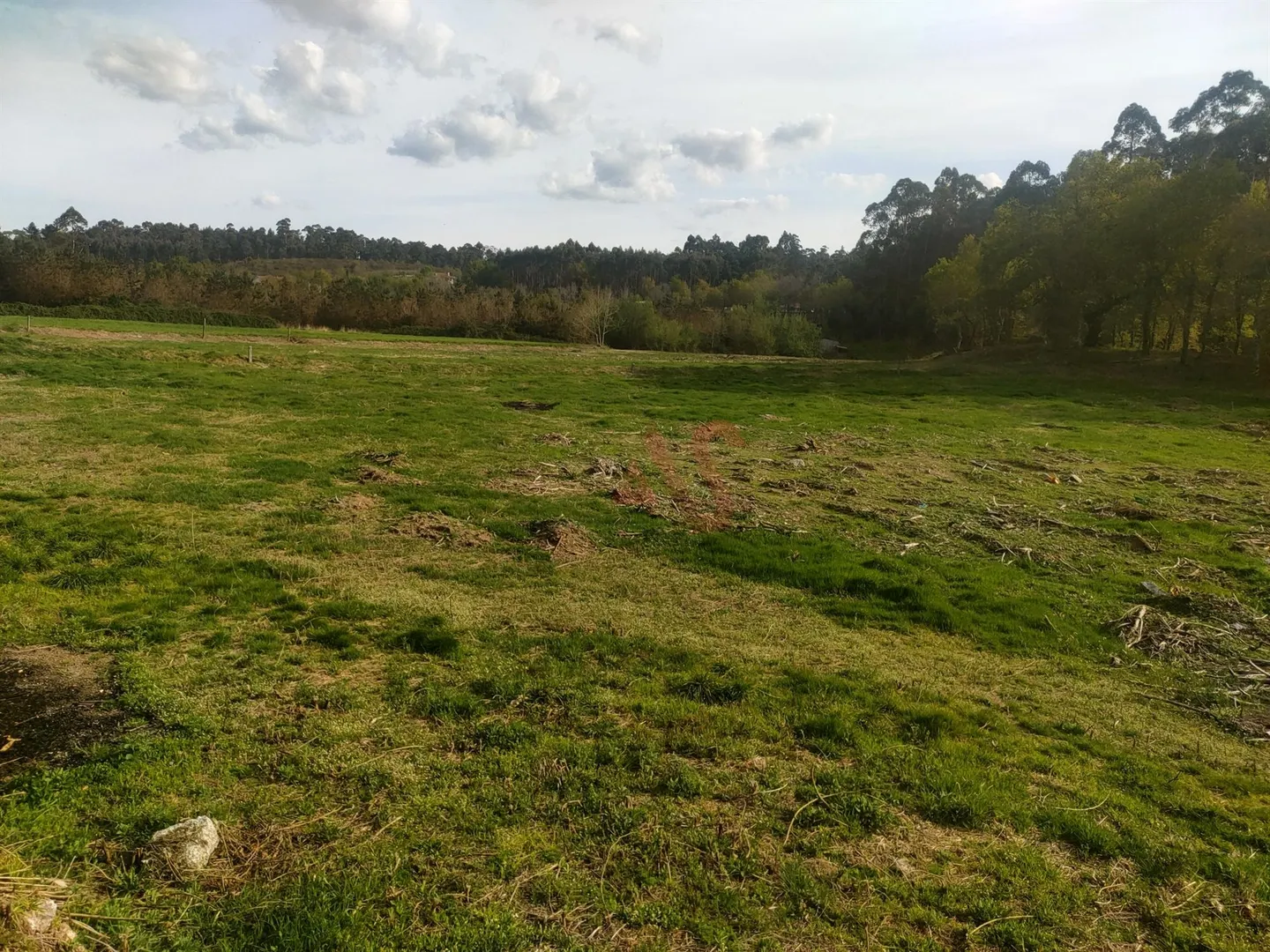 Quinta T4 - Ardego, Fafe, Braga - Miniatura: 9/9