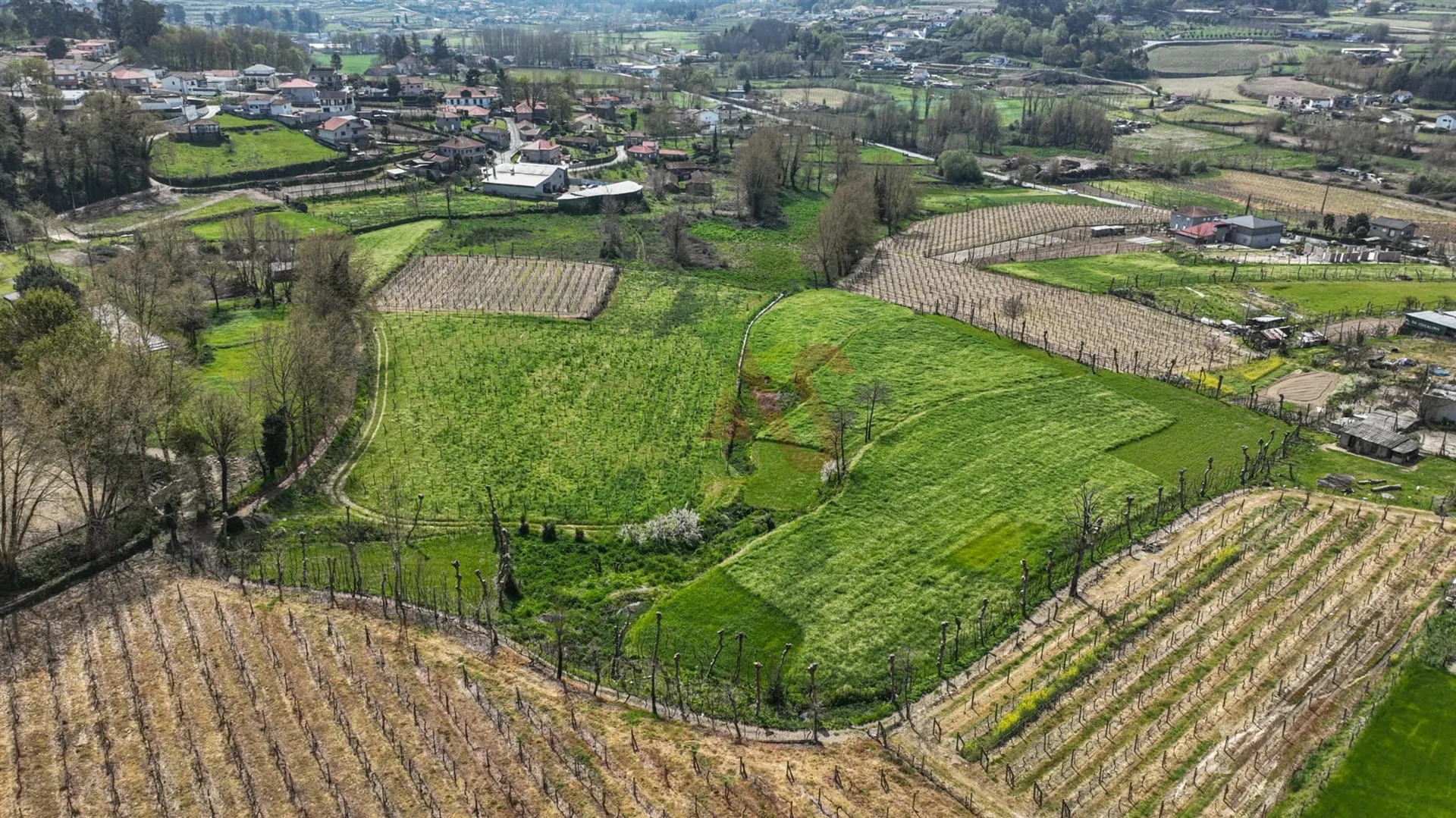 Terreno Rstico T0 - Pedreira, Felgueiras, Porto - Miniatura: 1/9