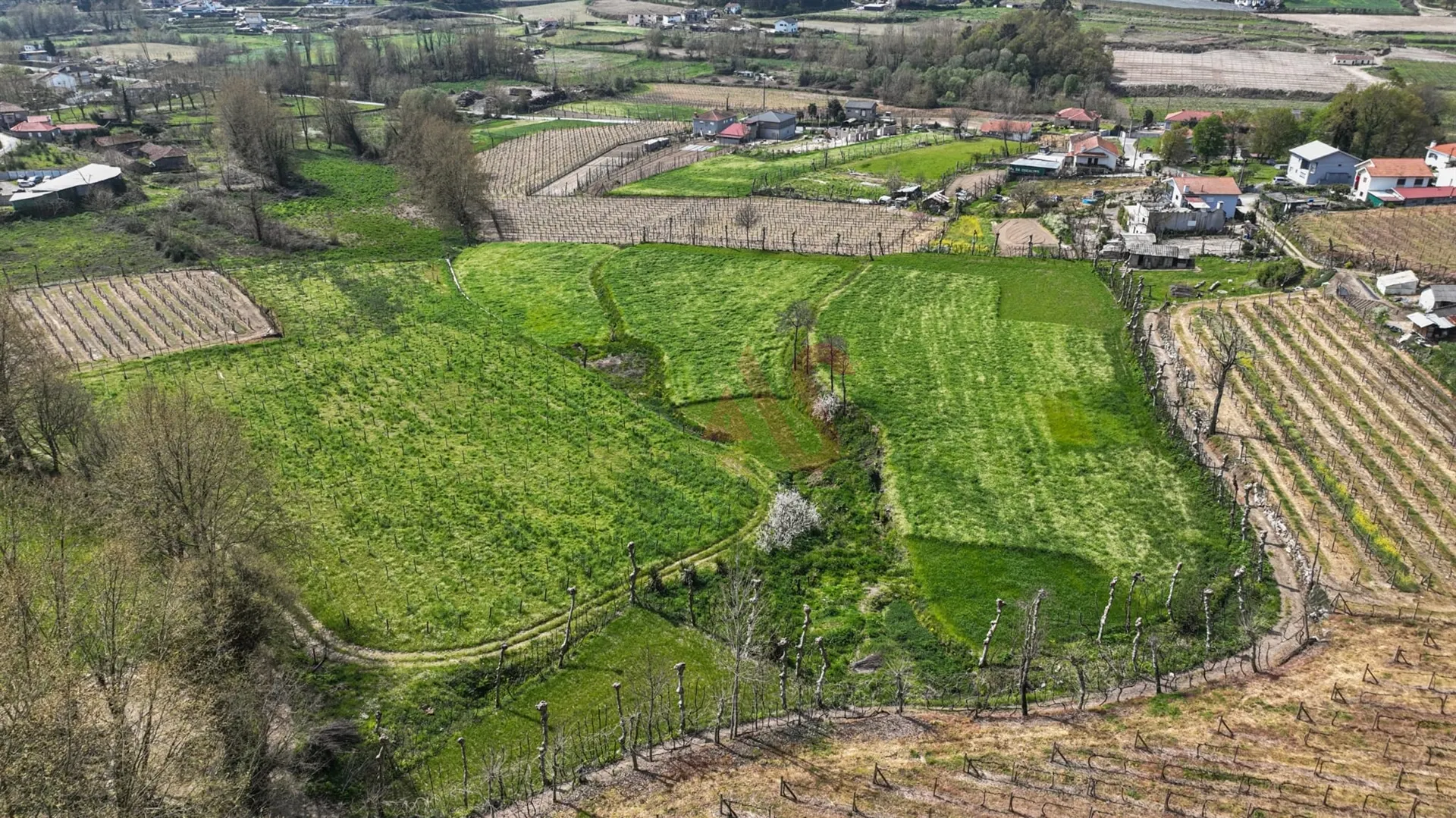 Terreno Rstico T0 - Pedreira, Felgueiras, Porto - Miniatura: 2/9
