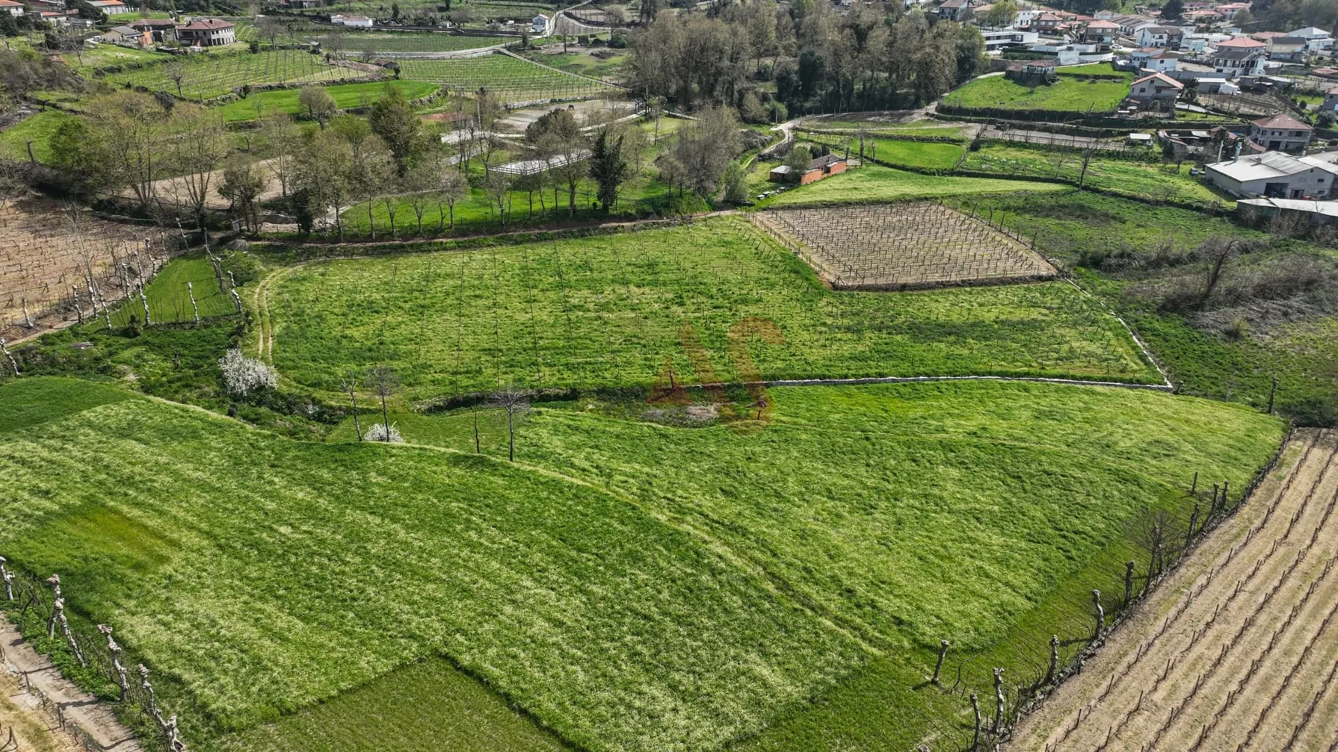 Terreno Rstico T0 - Pedreira, Felgueiras, Porto - Miniatura: 4/9